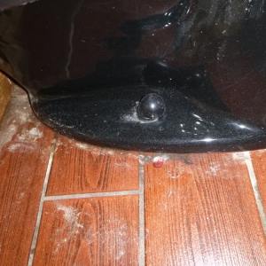 Photo of Rosa Rios Cleaning Service