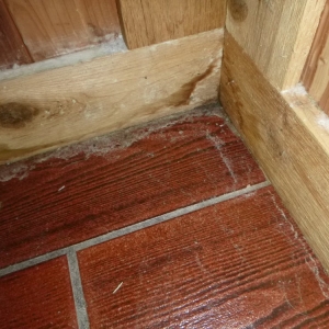 Photo of Rosa Rios Cleaning Service