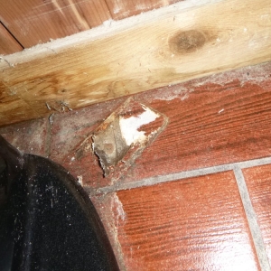 Photo of Rosa Rios Cleaning Service