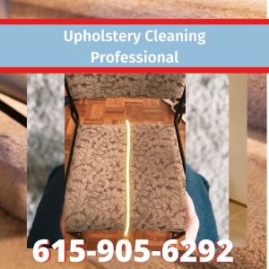 Franklin Miraculous Carpet Care
