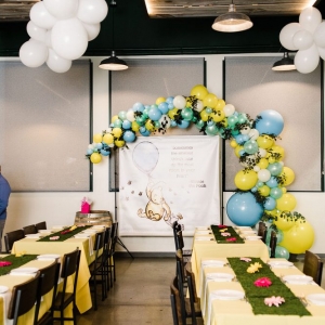 Photo of Wow! Balloons