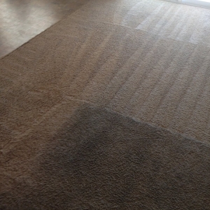 Photo of C&J Carpet Care