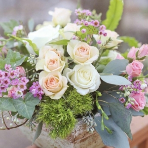 Photo of Cabbage Rose