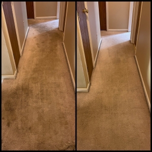 Photo of HutchPro Carpet Cleaning Plus