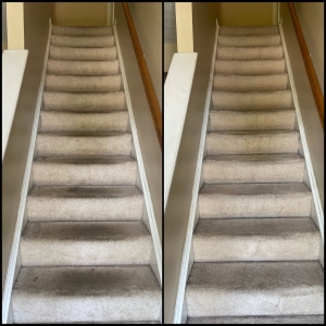 Photo of HutchPro Carpet Cleaning Plus