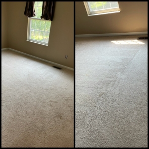 Photo of HutchPro Carpet Cleaning Plus