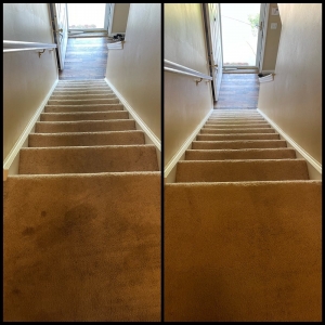 Photo of HutchPro Carpet Cleaning Plus