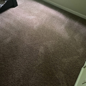 Dacula Dirty Harrys carpet cleaning
