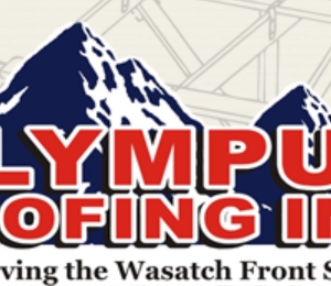 Photo of Olympus Roofing
