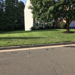 Landover Perfect Lawns
