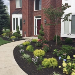 Photo of FC & AC Lawn and Landscaping