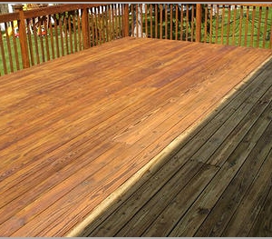 Photo of Upholstery Carpet Care