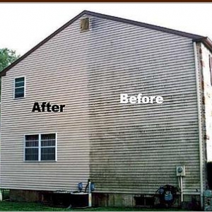 Photo of Upholstery Carpet Care