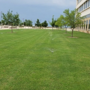 Photo of Water Wizards Landscape