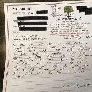 Photo of Elite Tree Service