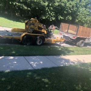 Photo of Elite Tree Service