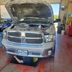 Photo of Cougar Lube and Wash of Jarrell