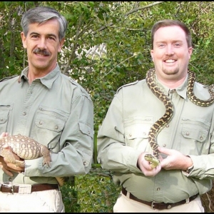 Photo of Wildlife On The Move