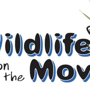 Photo of Wildlife On The Move