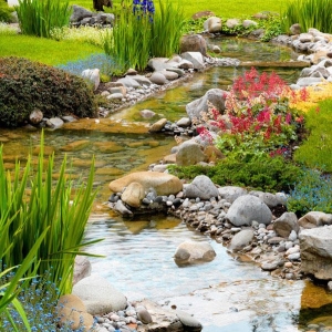 Photo of Living Waters Pond Supplies