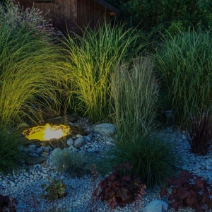 Photo of Living Waters Pond Supplies