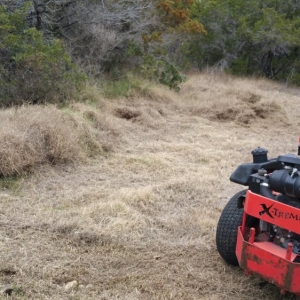 Photo of A Woman's Touch Lawn Care