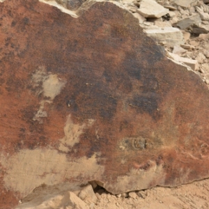 Photo of Oklahoma Stone