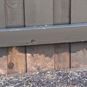 Photo of Texas Best Fence & Patio