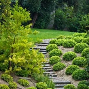 Photo of Dirt Clods Landscaping