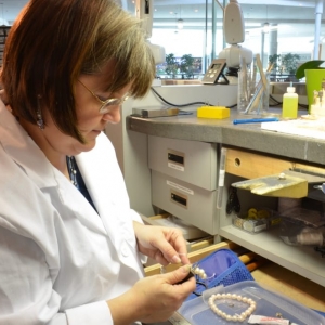 Photo of Fixology Jewelry, Watch and Smartphone Repair