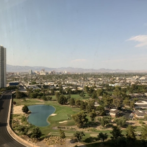 Las Vegas LV Net