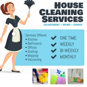 Jacksonville EmilyAnn's Cleaning Services, Babysitting And Dog Sitting