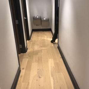 Photo of Steel City Cleaning Solutions