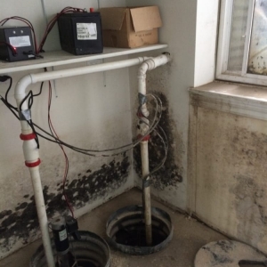 Photo of Alliance Restoration