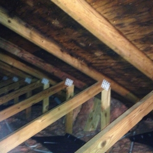 Photo of Alliance Restoration
