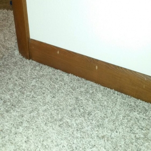 Photo of Jim Owens Carpet Corp