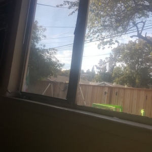 Photo of TT Glass & Windows