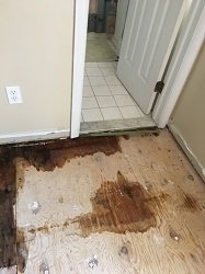 Photo of Fire Water Damage Restoration