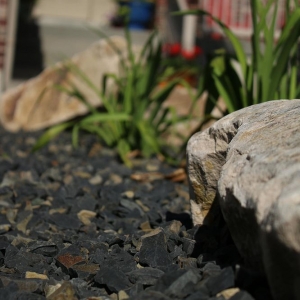 Photo of Staker Parson Landscape Centers