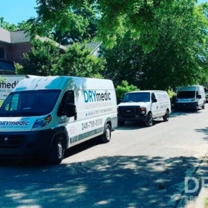 Photo of DRYmedic Restoration Services