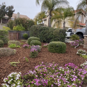 Photo of Francisco Landscaping