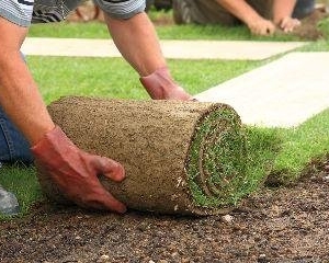 Photo of Halo Landscaping