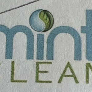 Photo of Mint Clean Windows Cleaning