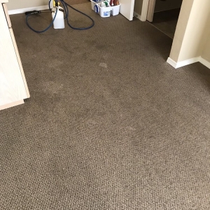 Photo of Sunfresh Carpet Cleaning