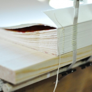 Photo of Zenith Instant Printing