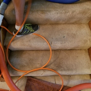 Photo of Cleantech Carpet Cleaning