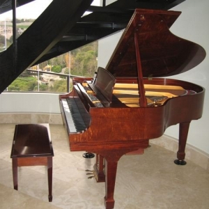 Photo of Encore Piano Moving