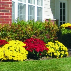 Photo of La Rosa Landscape Company