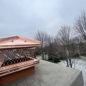 Photo of Optimal Copper Gutters & Roof