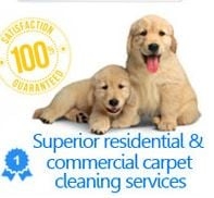 Photo of Tile Grout Cleaning Dallas